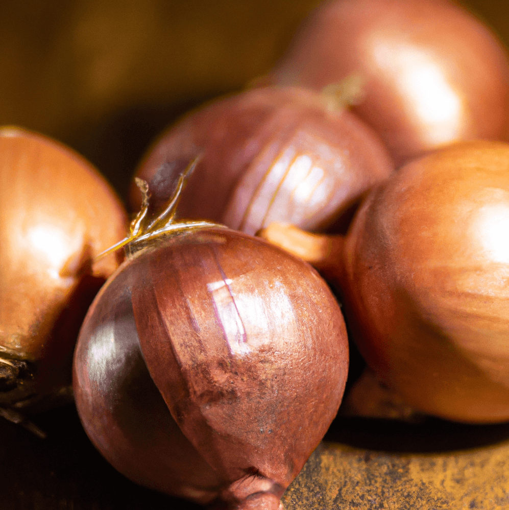 Organic French Red Shallots (lb)