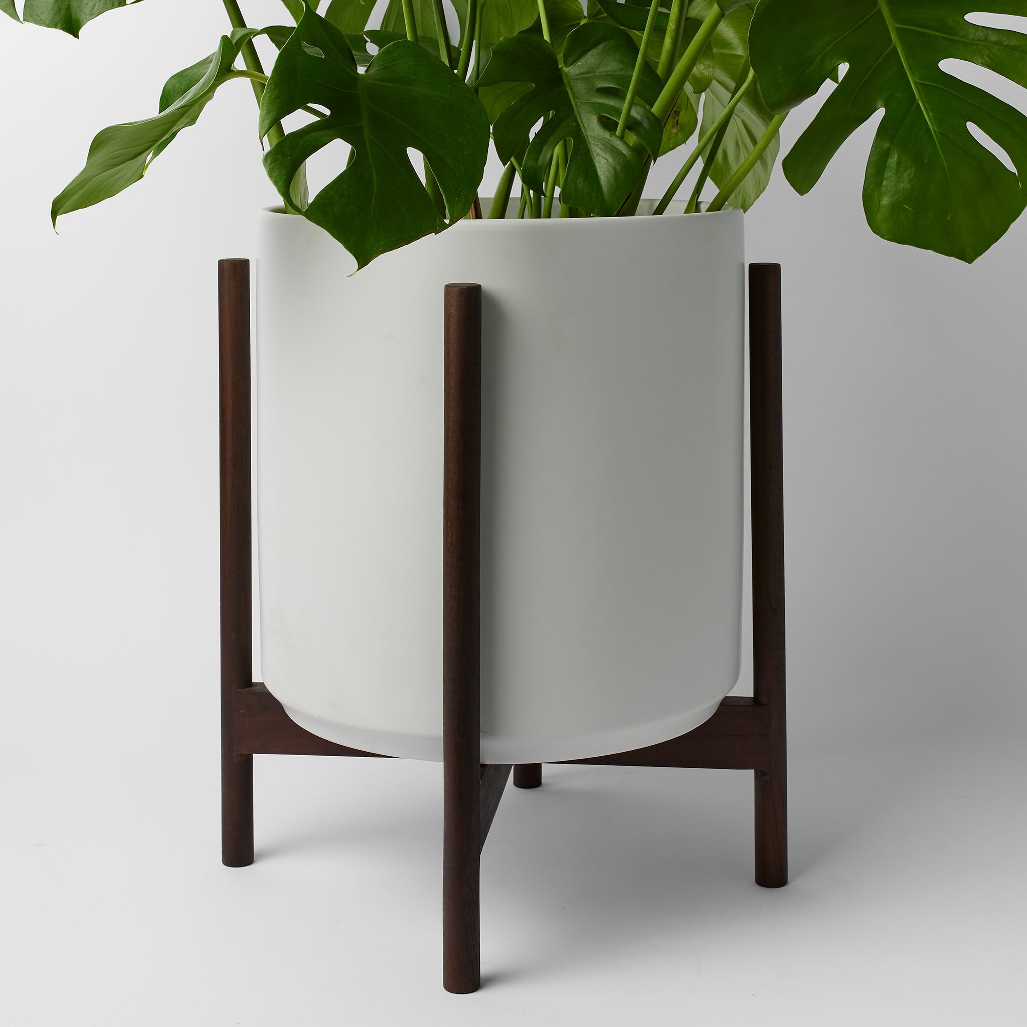 Rounded Hardwood Plant Stand