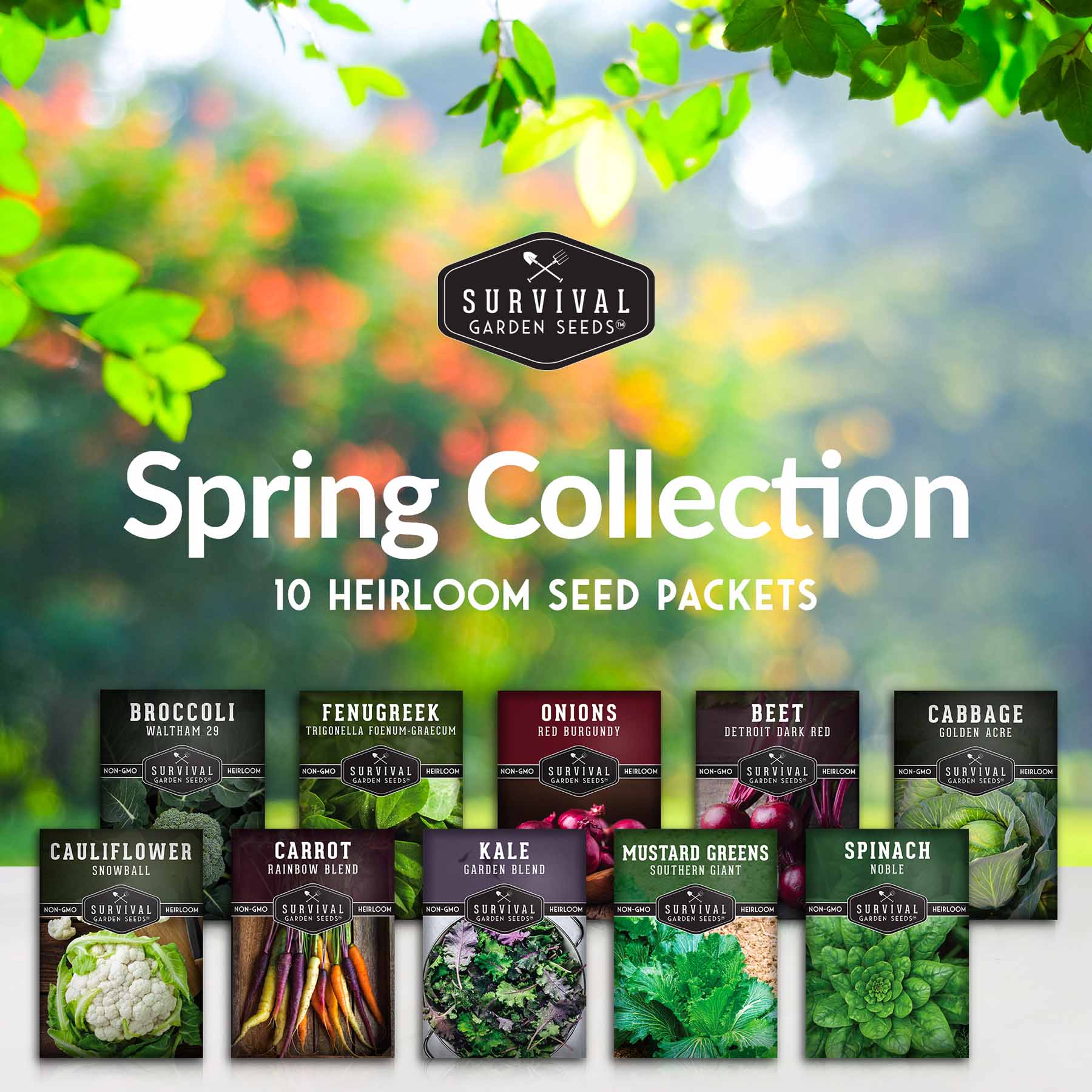 10-Variety Heirloom Spring Vegetable Seed Collection – Non-GMO Cool-Weather Crops for Early, Fall, or Indoor Gardening