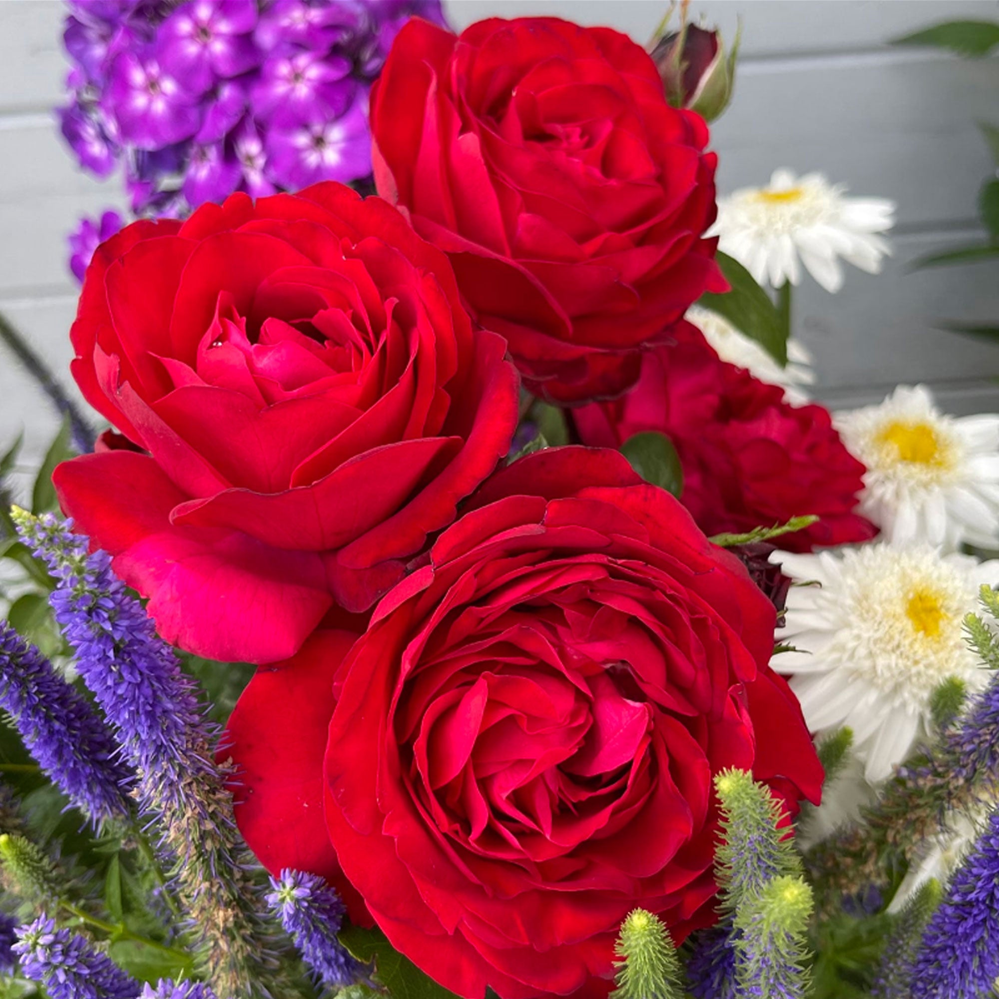 Tiamo Rose 1.5 gallon Pot