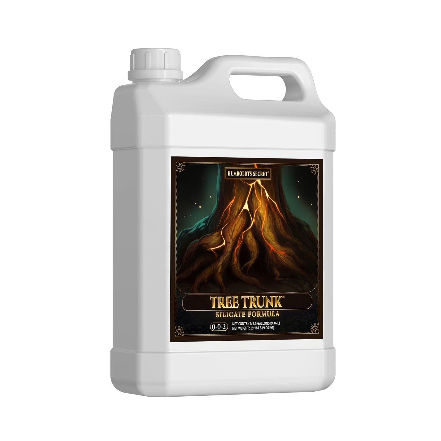 Tree Trunk