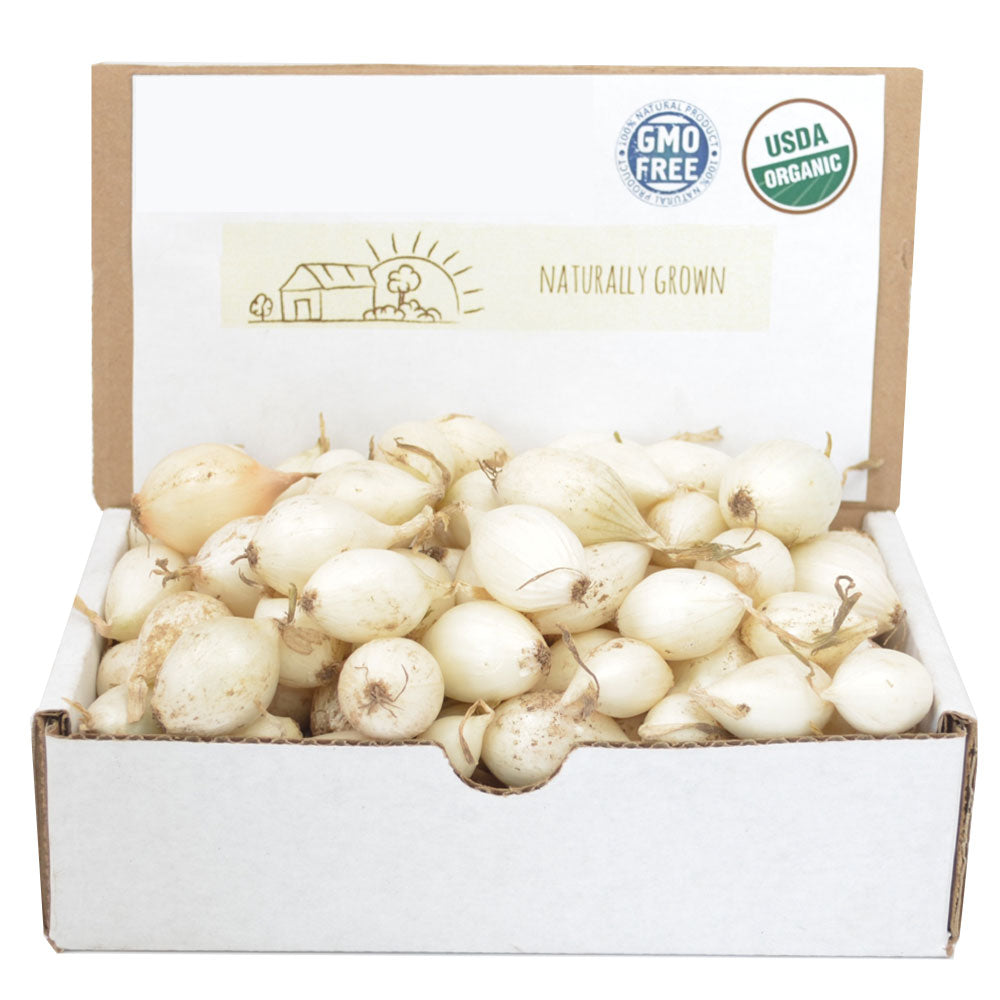 White Onion Sets 1 Lb. Non-GMO White Ebenezer Variety