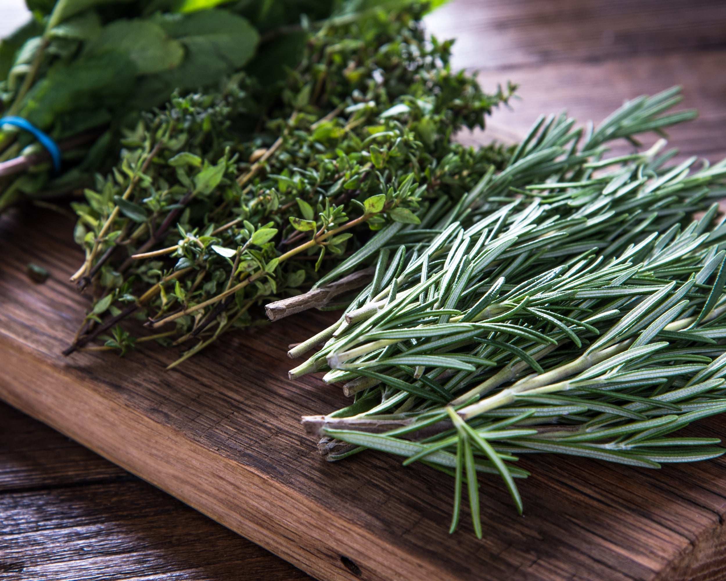 Fresh kitchen herb plants including rosemary, thyme, and mint on a wooden cutting board