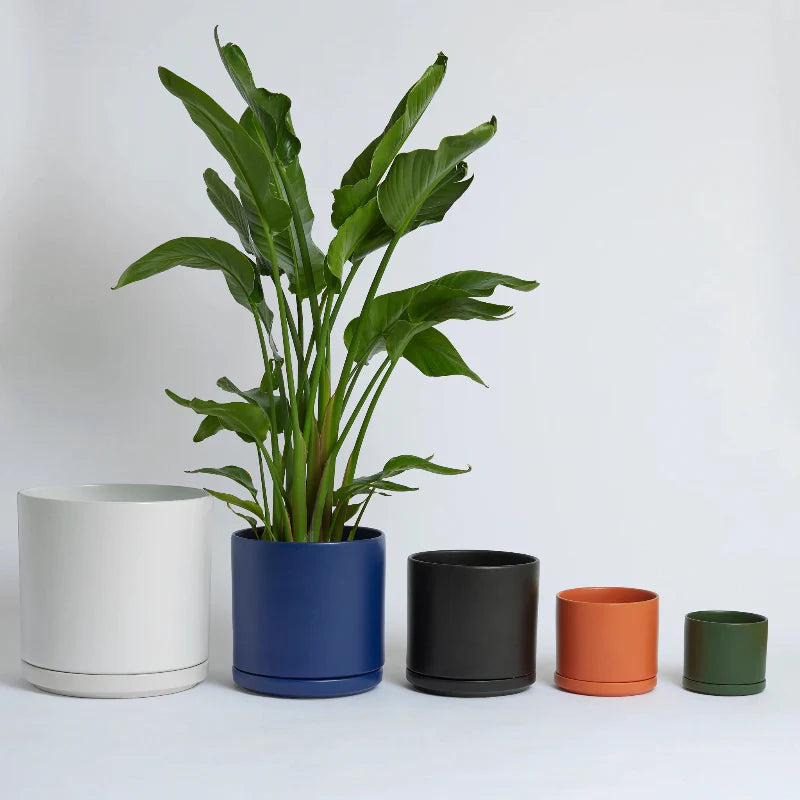 1st Generation, Solid Goods - Ceramic Cylinder with Saucer (FINAL SALE)