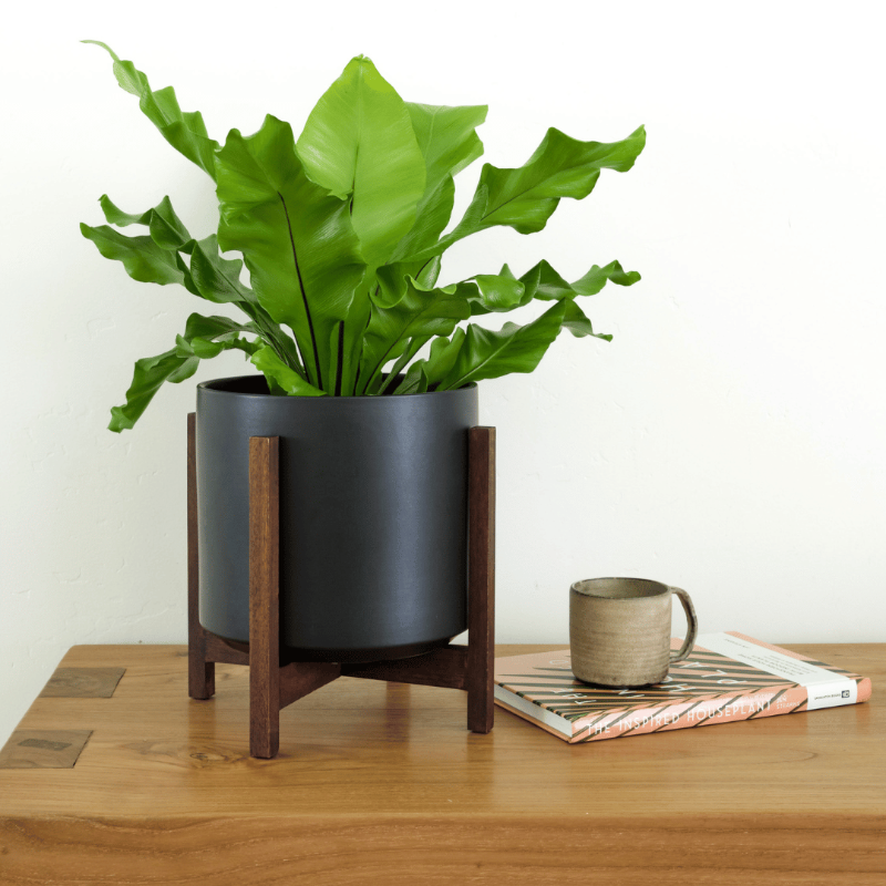 1st Generation, Solid Goods Ceramic Cylinder– With or Without Square Mahogany Stand (FINAL SALE)