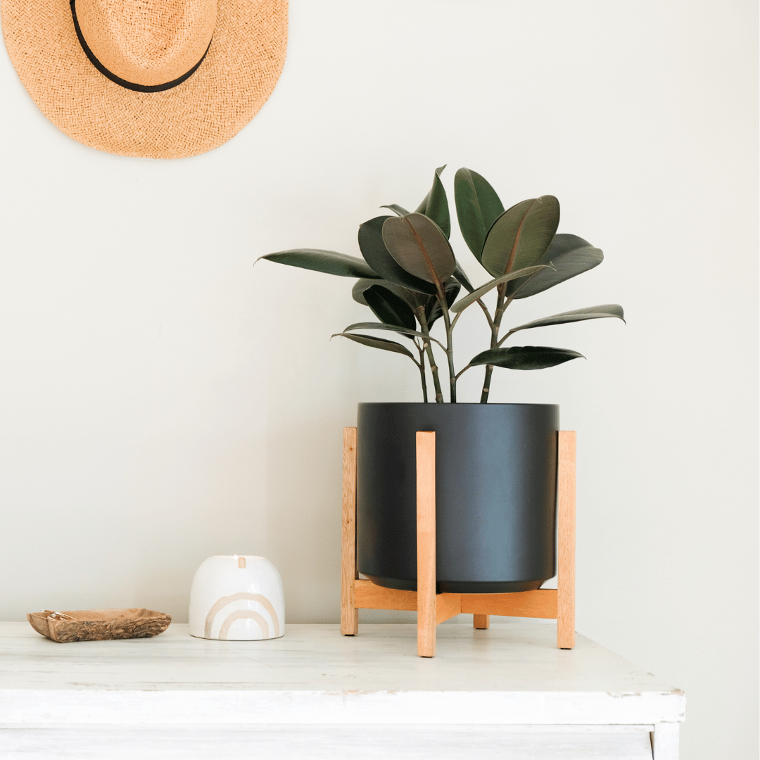 1st Generation, Solid Goods Ceramic Cylinder– With or Without Square Mahogany Stand (FINAL SALE)