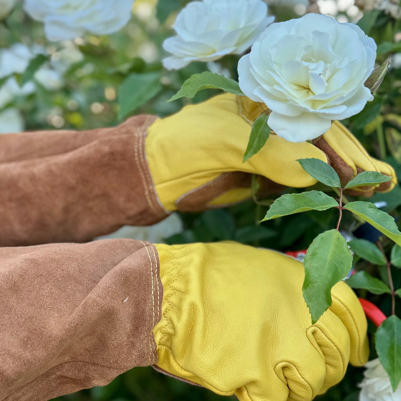 Long Garden Gloves - Rose Pruning Gloves (Soft Cowhide)