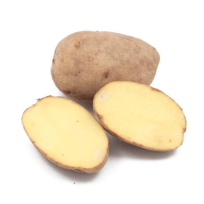 Organic German Butterball Seed Potato (lb)