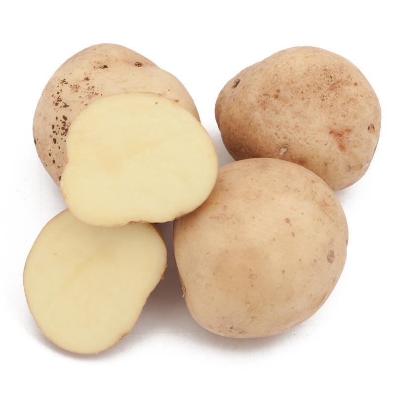 Organic Yukon Gold Seed Potato (lb)