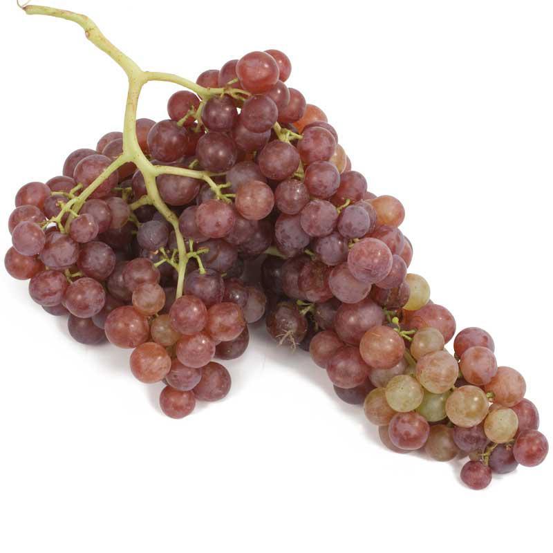 Flame Seedless Table Grape Vine