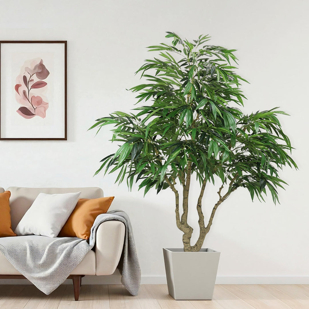 Fuax house plants
