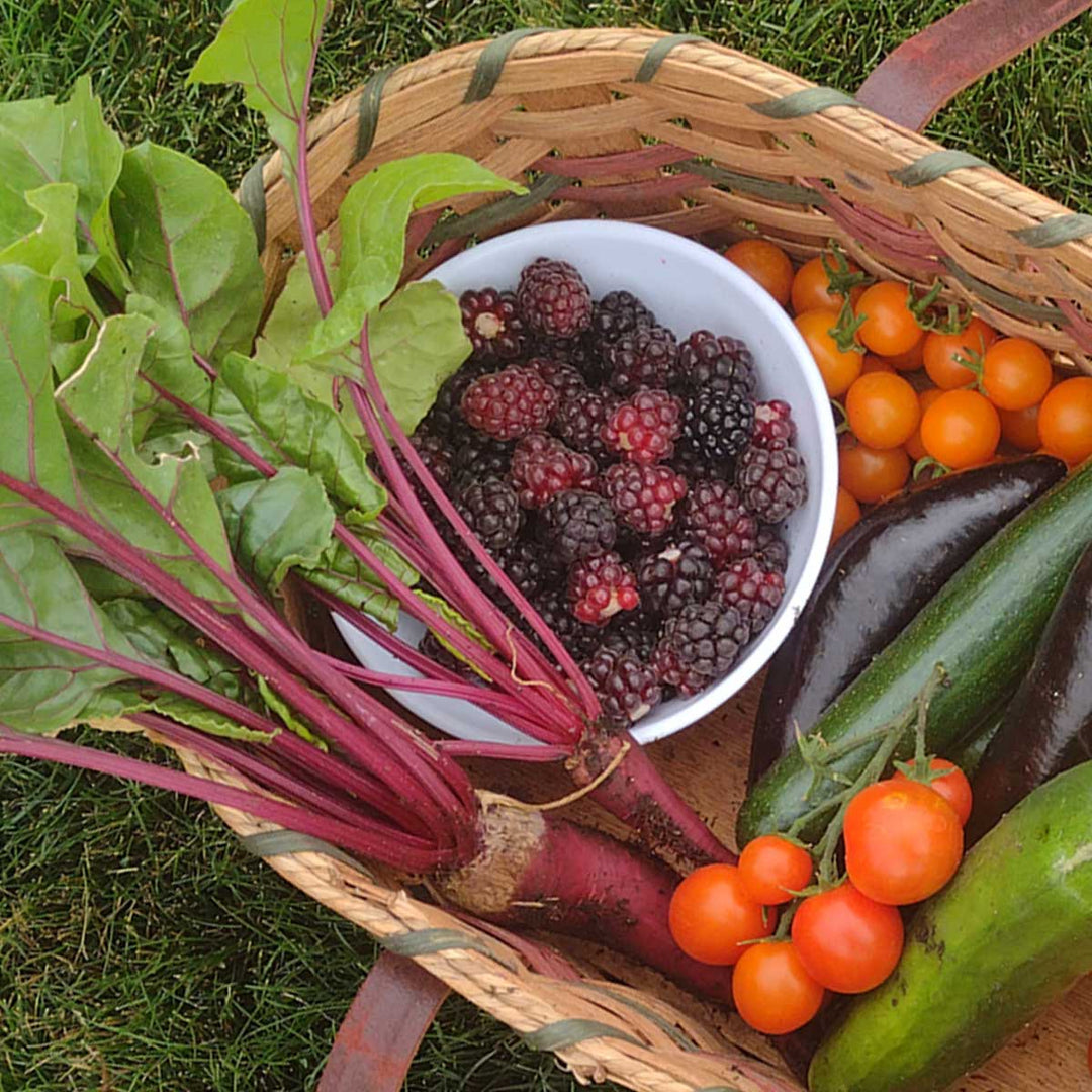 edible garden