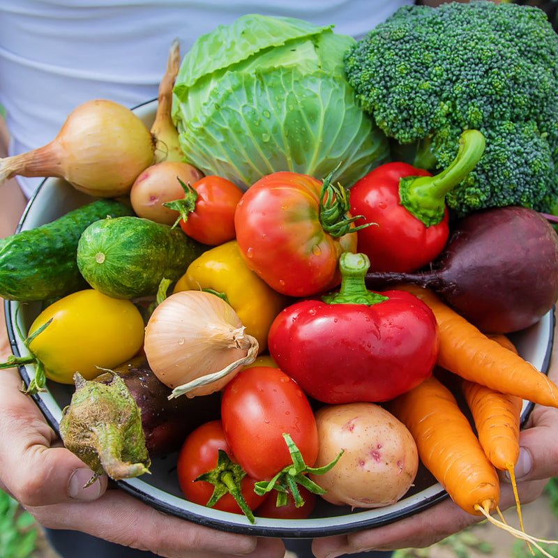 Grow your own farm fresh vegetables