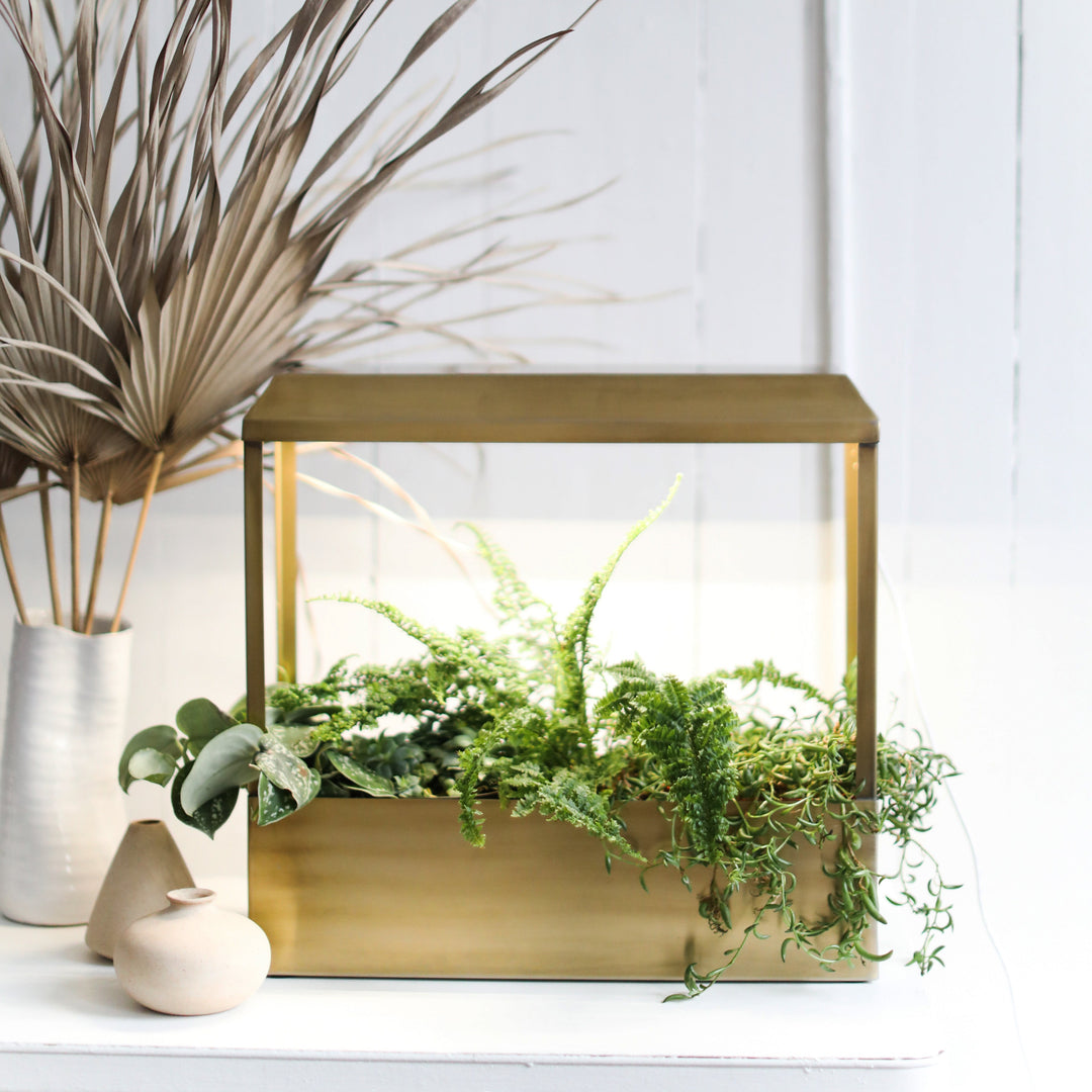 indoor growing supplies