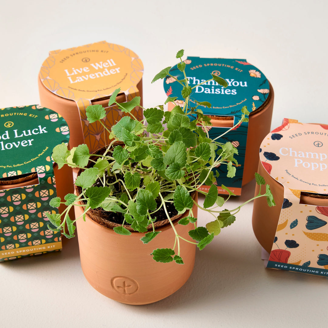 gardening kits and gifts
