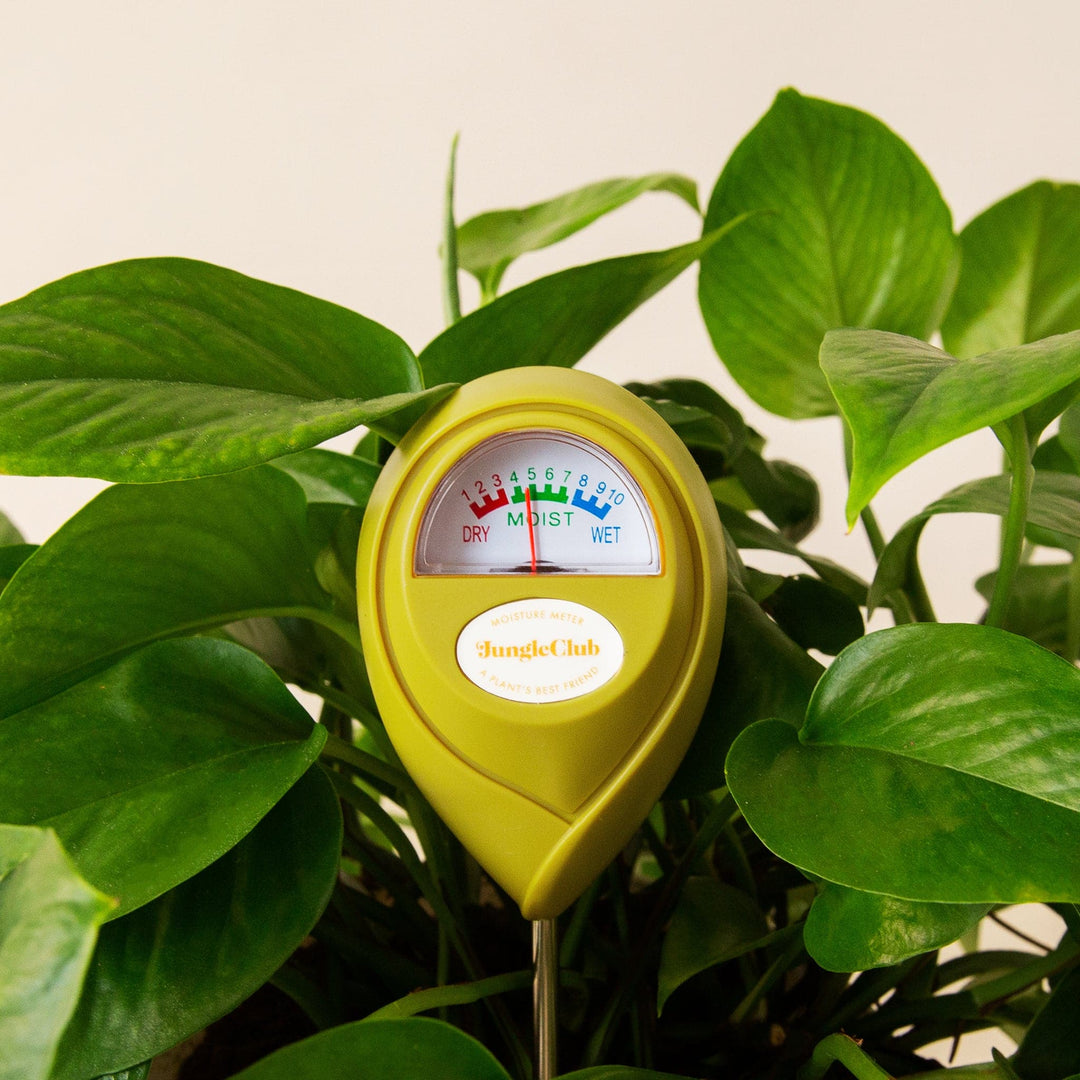 water moisture meters