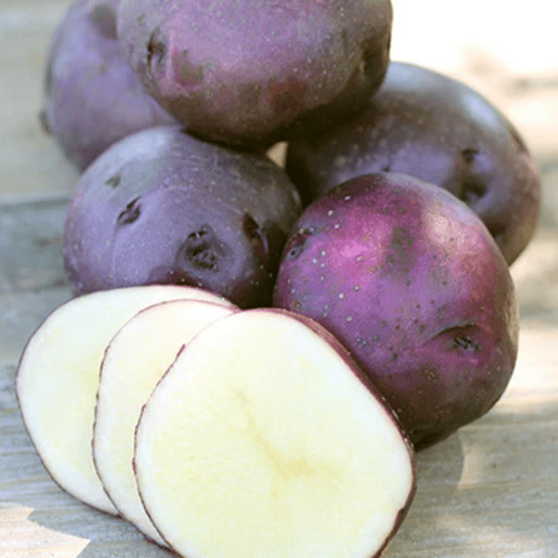 Organic Seed Potatoes
