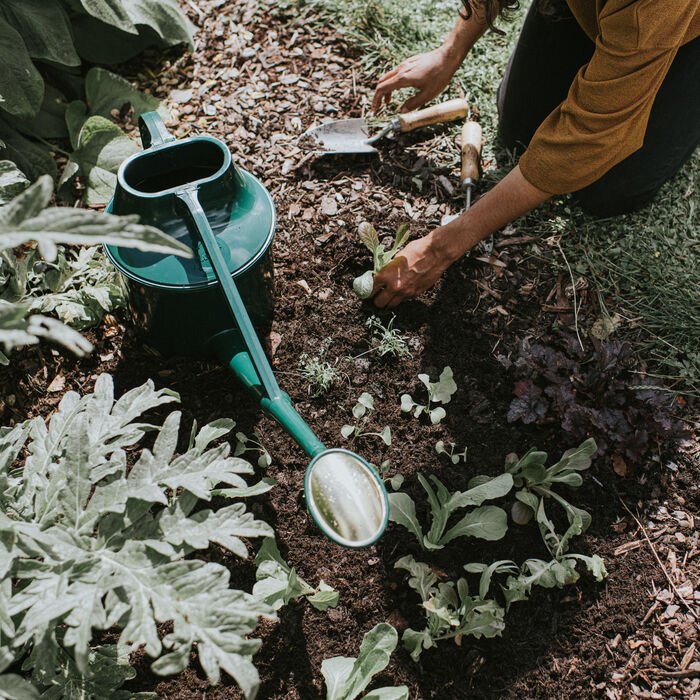 Shop All Growing Essentials