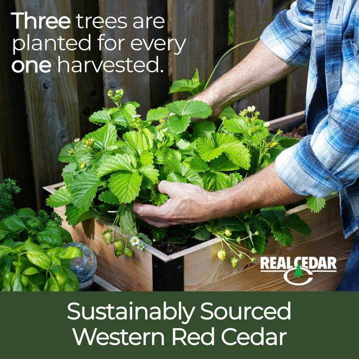 18″ x 48″ Deep Root Raised Garden Bed - 30″ TALL - Select Grade