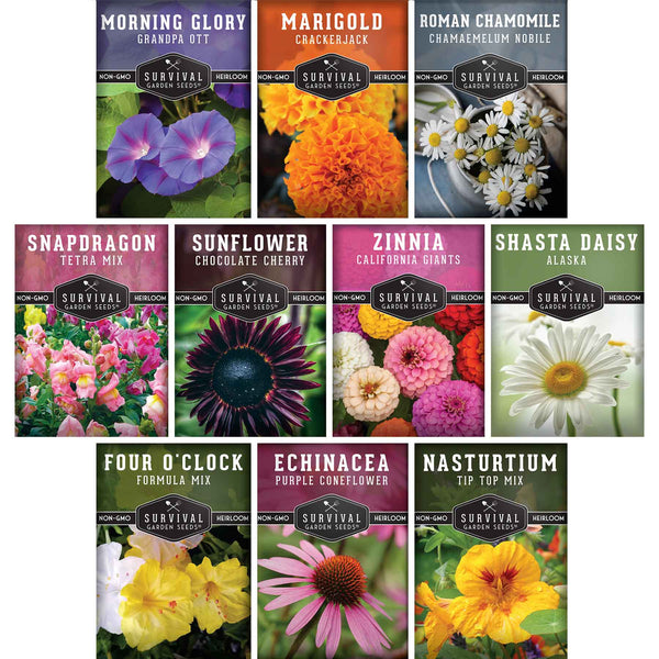 その他 Flowers For All Seasons Favorite flowers to plant in spring and summer in zone 9a