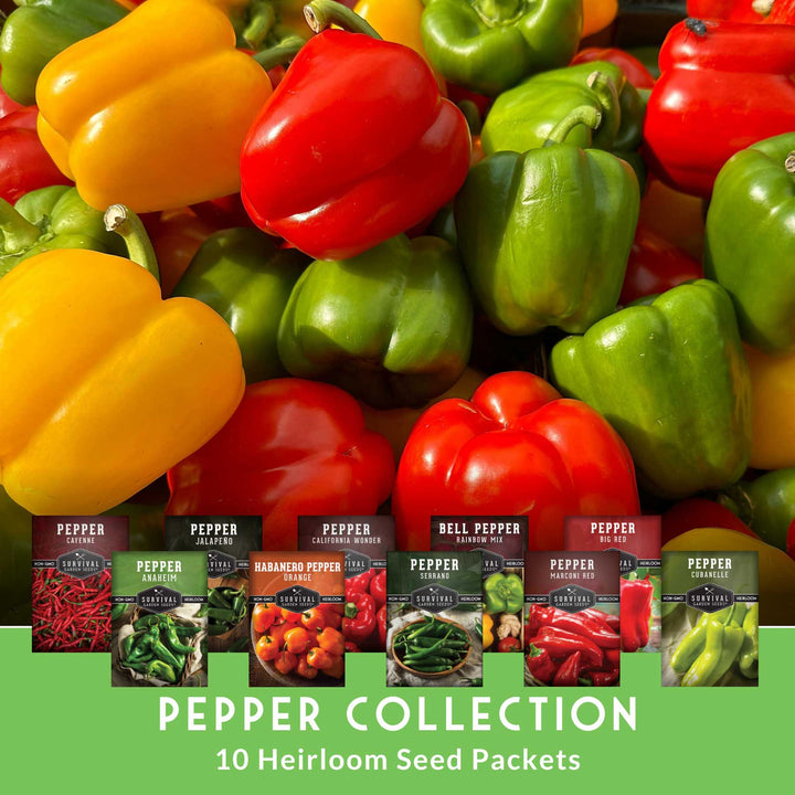 10 Variety Pepper Seed Collection – Non-GMO Heirloom Hot &amp; Sweet Peppers for Garden, Container, or Greenhouse Growing