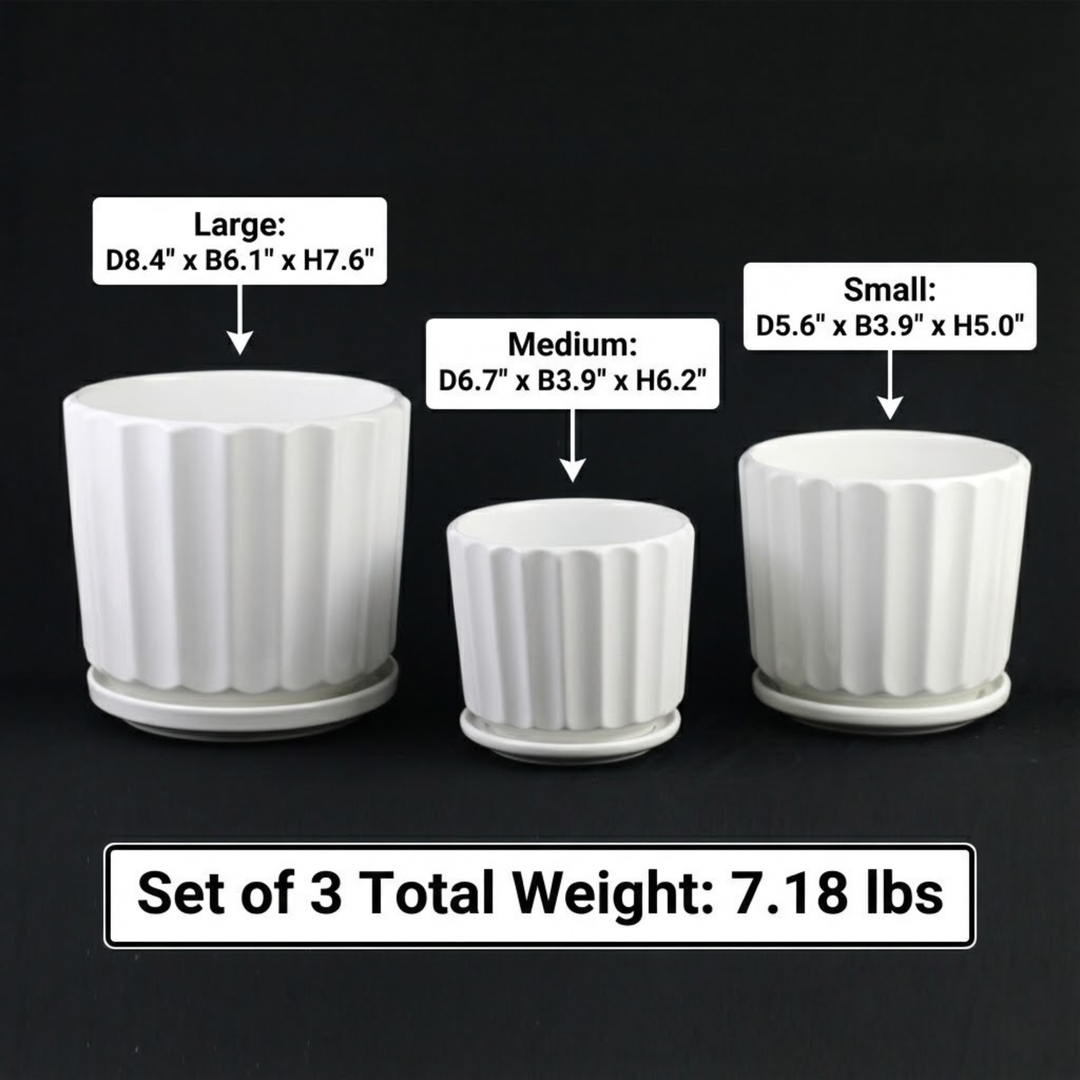 3-Piece White Ceramic Planter Pot Set with Fluted Design &amp; Saucers