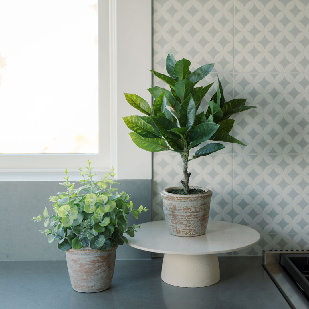 10" Eucalyptus &amp; 16" Citrus Topiary Set
