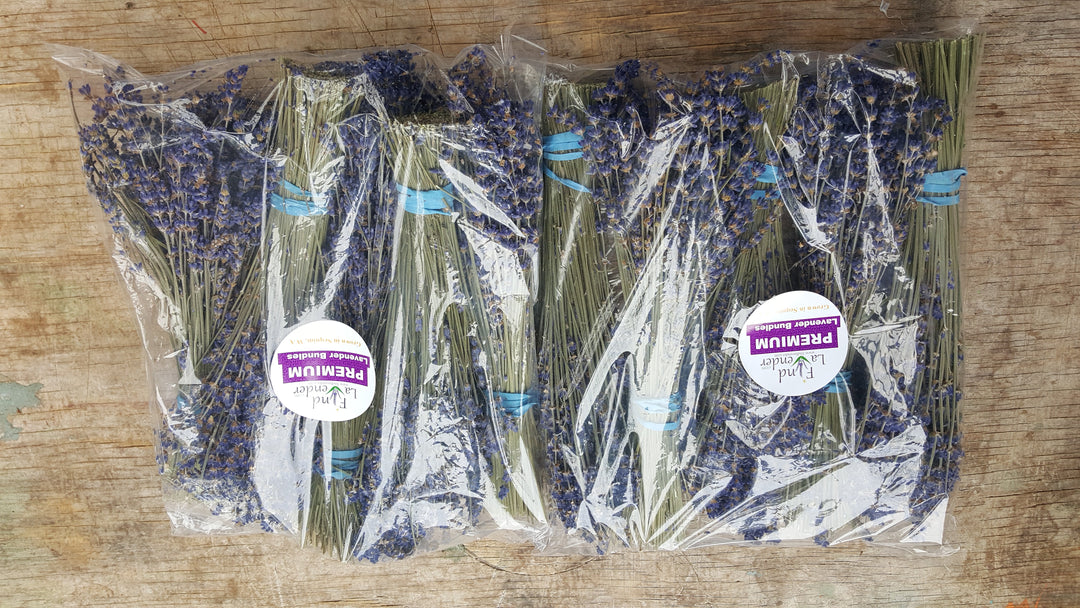 Dried Lavender Bundles 8-10 inch Small Pack of 10 Home Decor