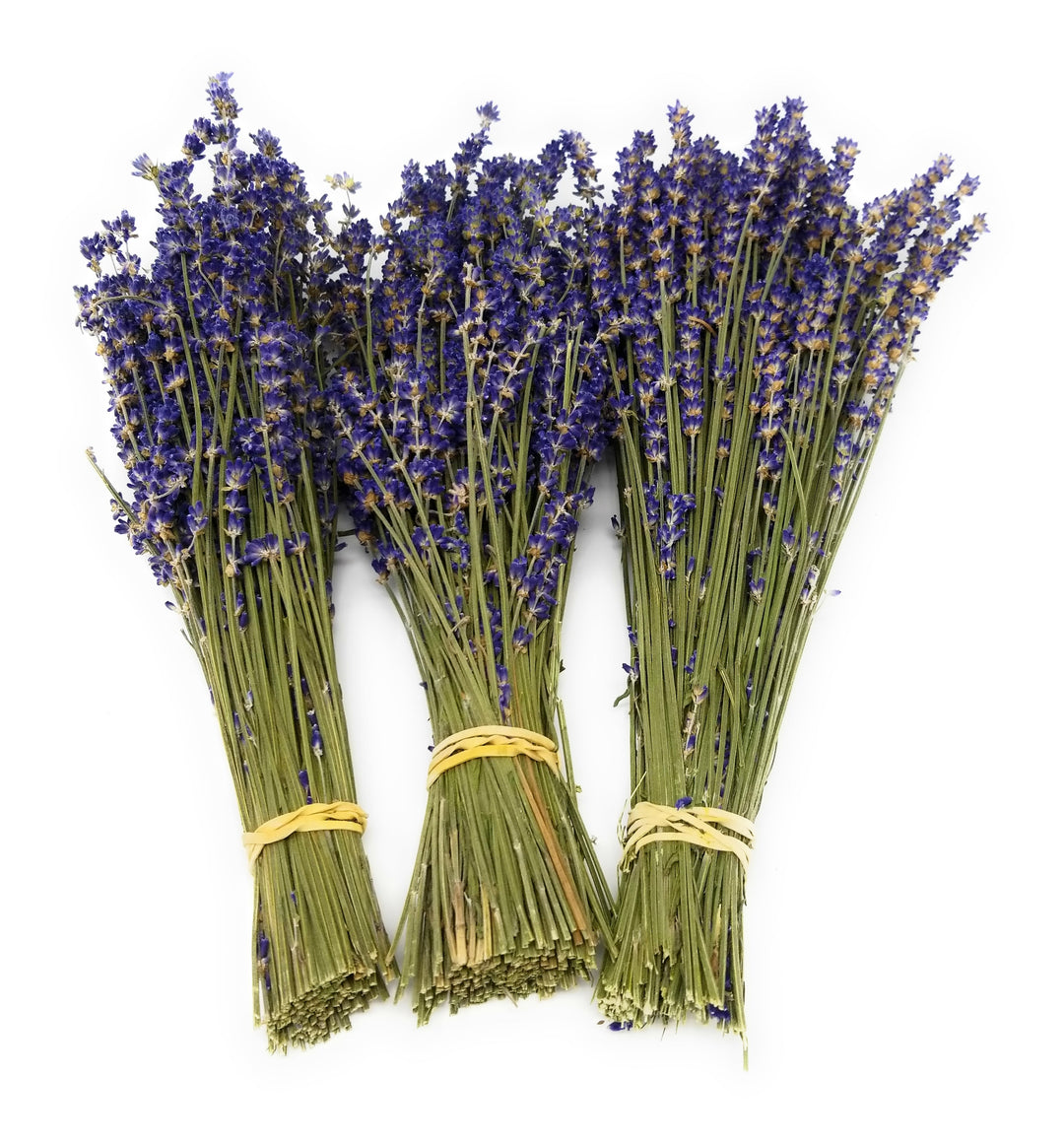 Dried Lavender Bundles Royal Velvet 14-18 Inch Aromatherapy Decor