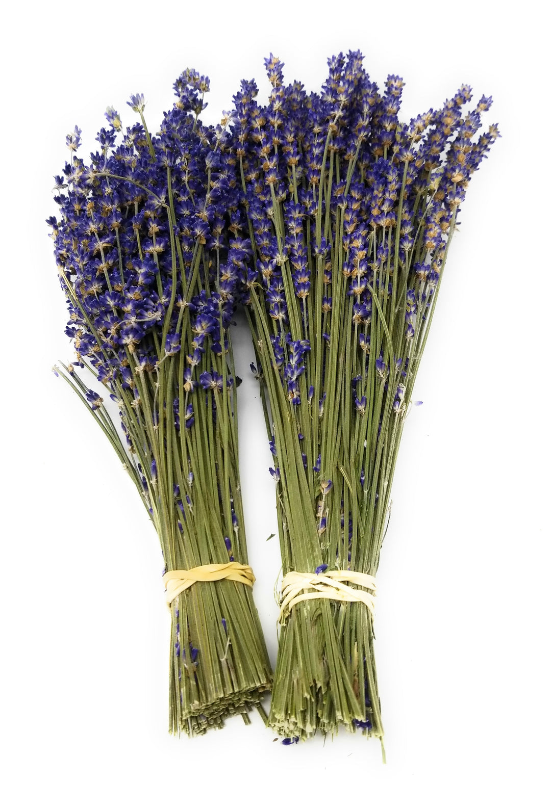 Dried Lavender Bundles Royal Velvet 14-18 Inch Aromatherapy Decor