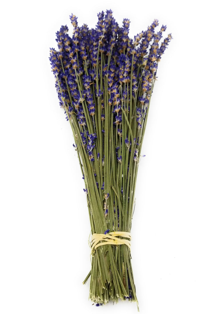Dried Lavender Bundles Royal Velvet 14-18 Inch Aromatherapy Decor