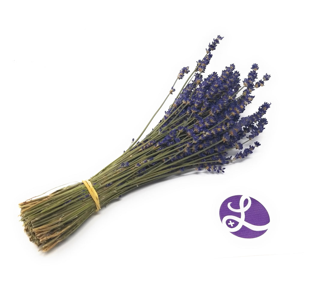 Fresh Culinary Lavender Bundles 14-18 inch Food Grade Dried Herb