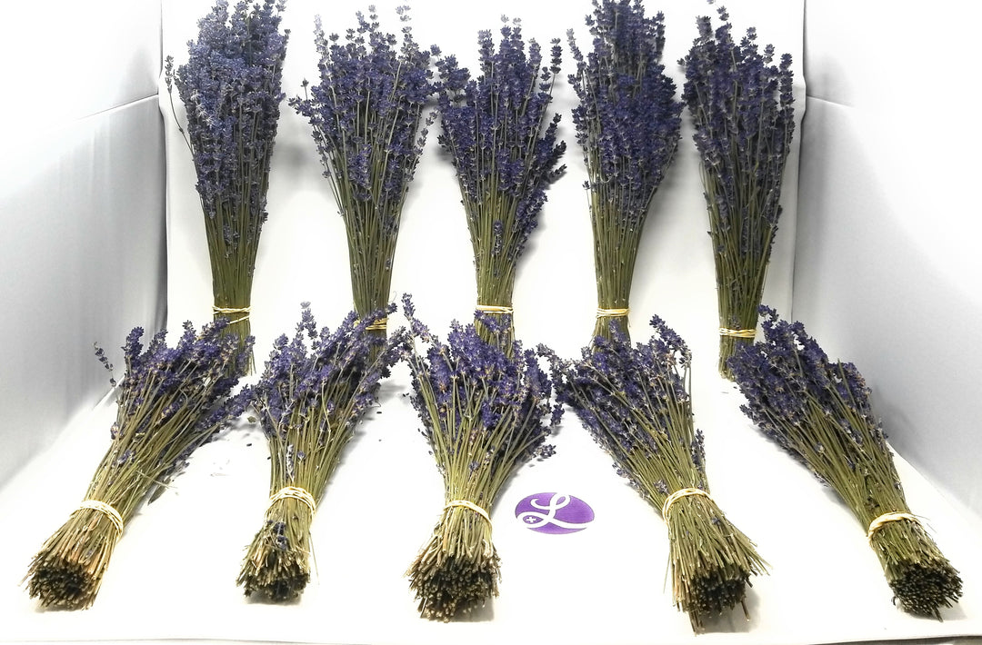 Royal Velvet Culinary Lavender Bundles - 10 Pack Food Grade Dried