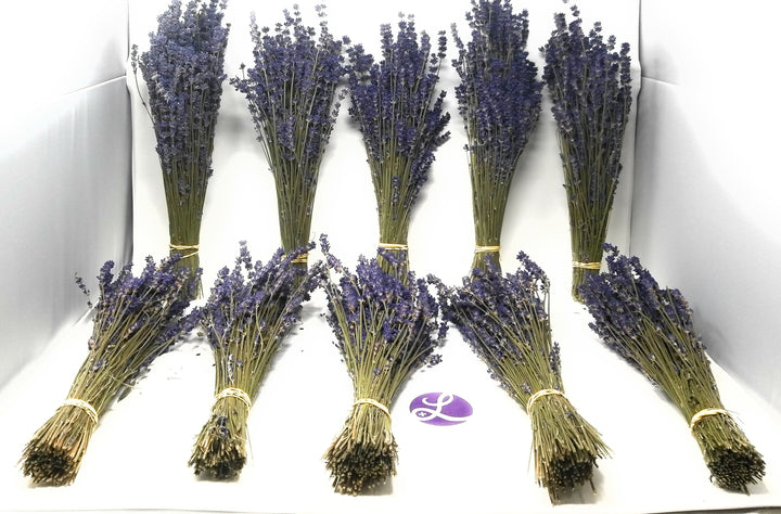 Royal Velvet Culinary Lavender Bundles - 10 Pack Food Grade Dried