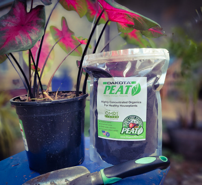 Dakota Soil &amp; Plant Enhancer 1lb Bag