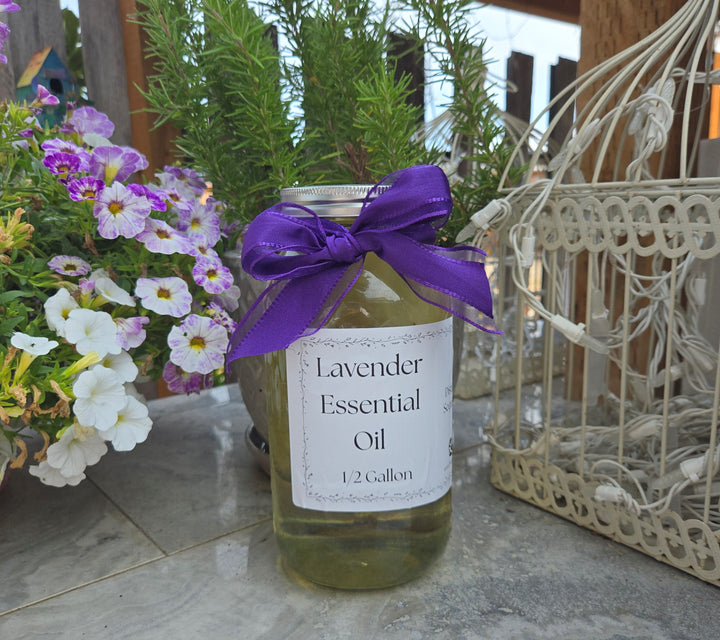 Bulk Lavender Essential Oil Half Gallon Washington Grown Aromatherapy