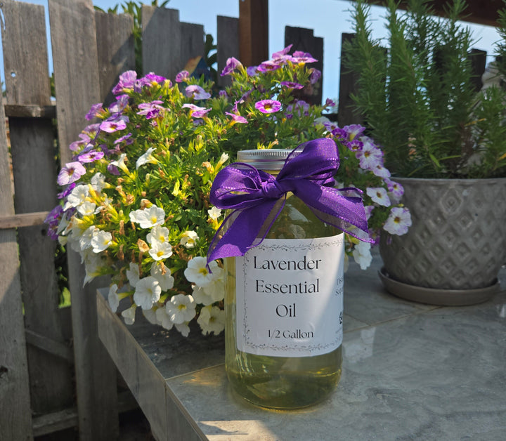 Bulk Lavender Essential Oil Half Gallon Washington Grown Aromatherapy