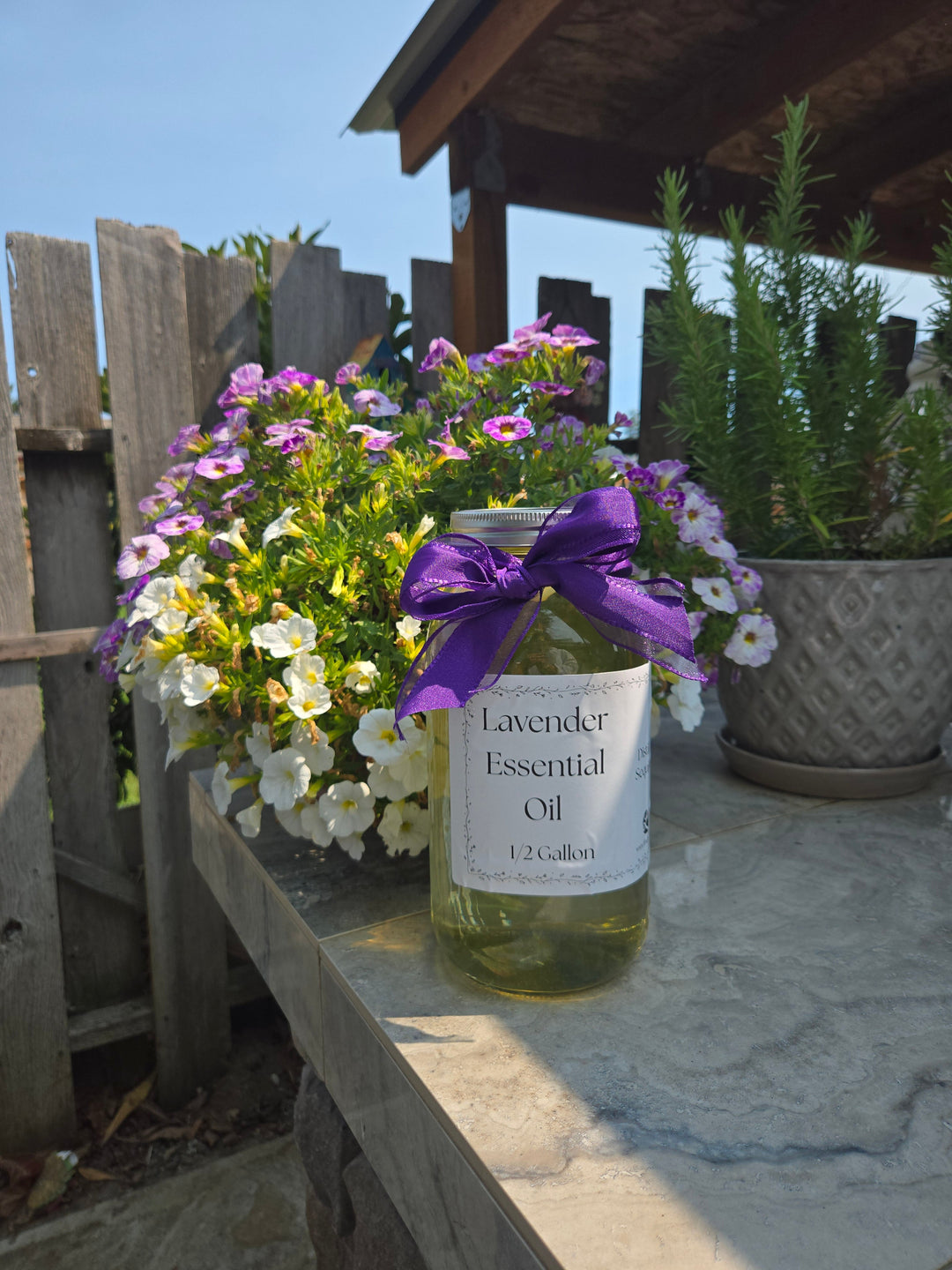 Bulk Lavender Essential Oil Half Gallon Washington Grown Aromatherapy