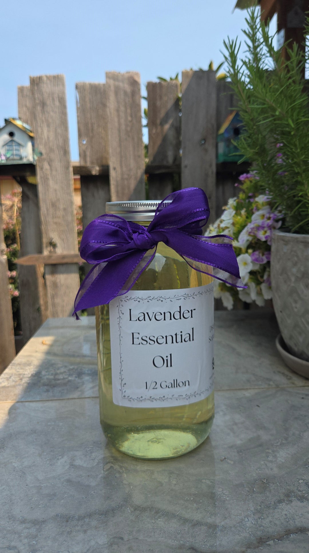Bulk Lavender Essential Oil Half Gallon Washington Grown Aromatherapy
