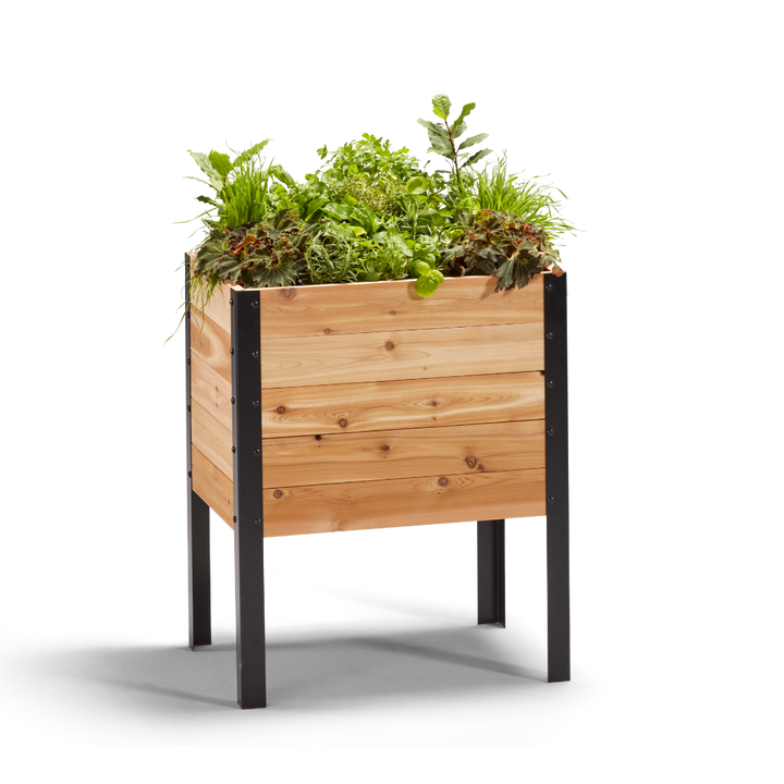 18″ x 24″ Deep Root Raised Garden Bed - 30″ TALL / Select Grade