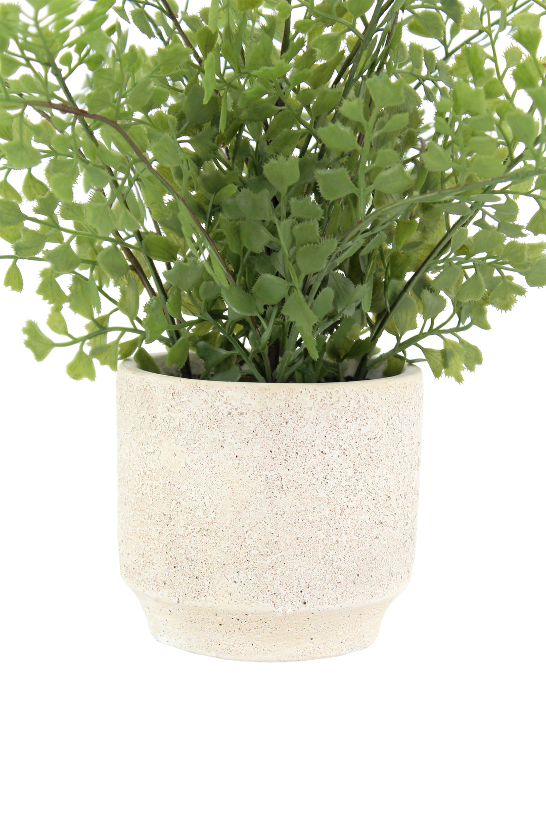 16" Faux Snake Plant &amp; Fern Set