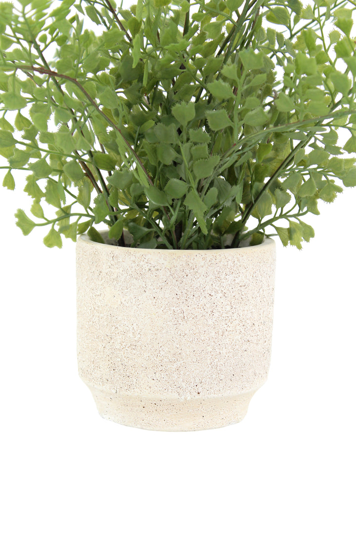 16" Faux Snake Plant &amp; Fern Set