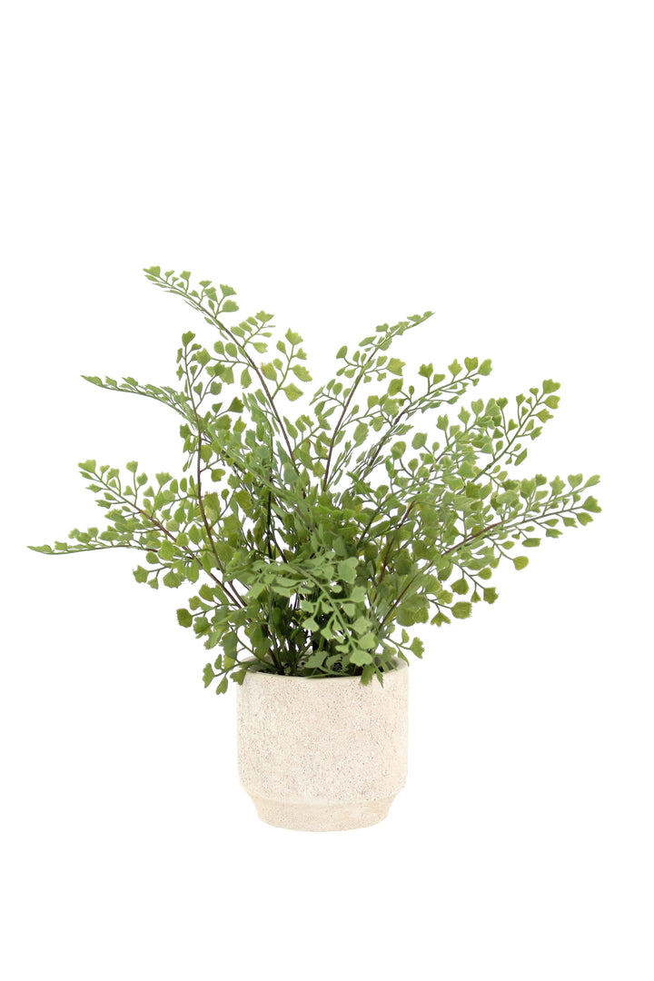 16" Faux Snake Plant &amp; Fern Set