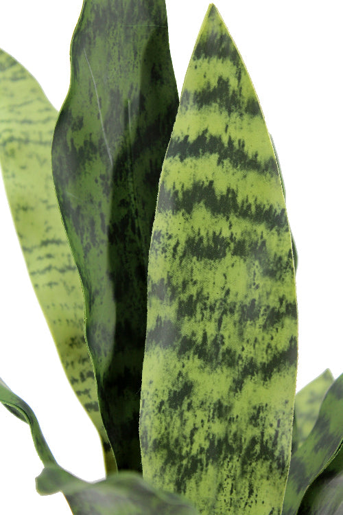 16" Faux Snake Plant &amp; Fern Set