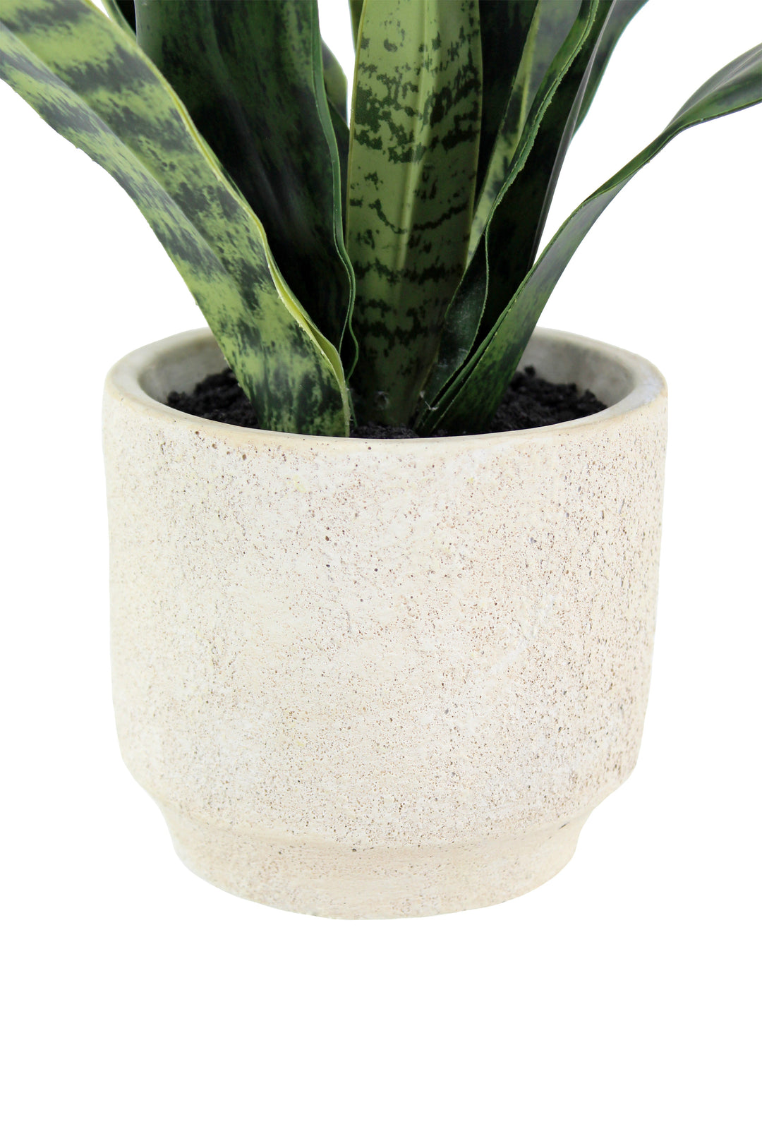 16" Faux Snake Plant &amp; Fern Set