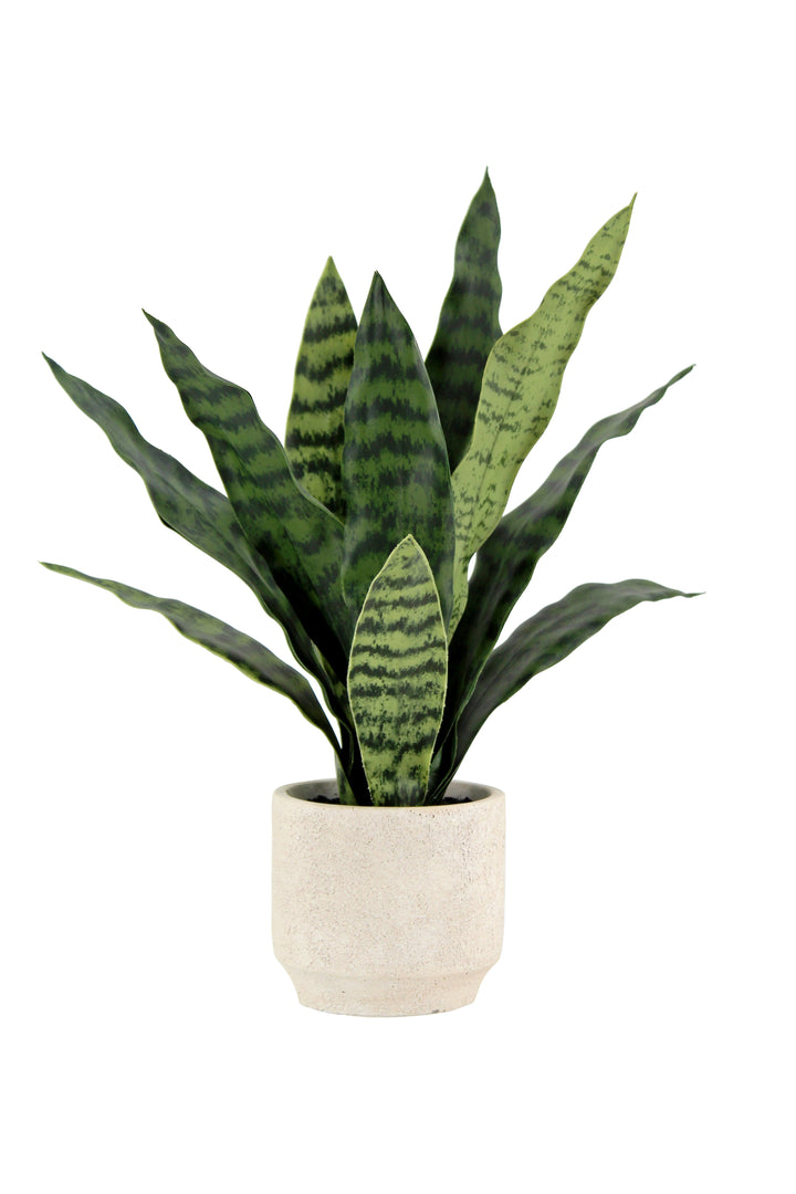 16" Faux Snake Plant &amp; Fern Set