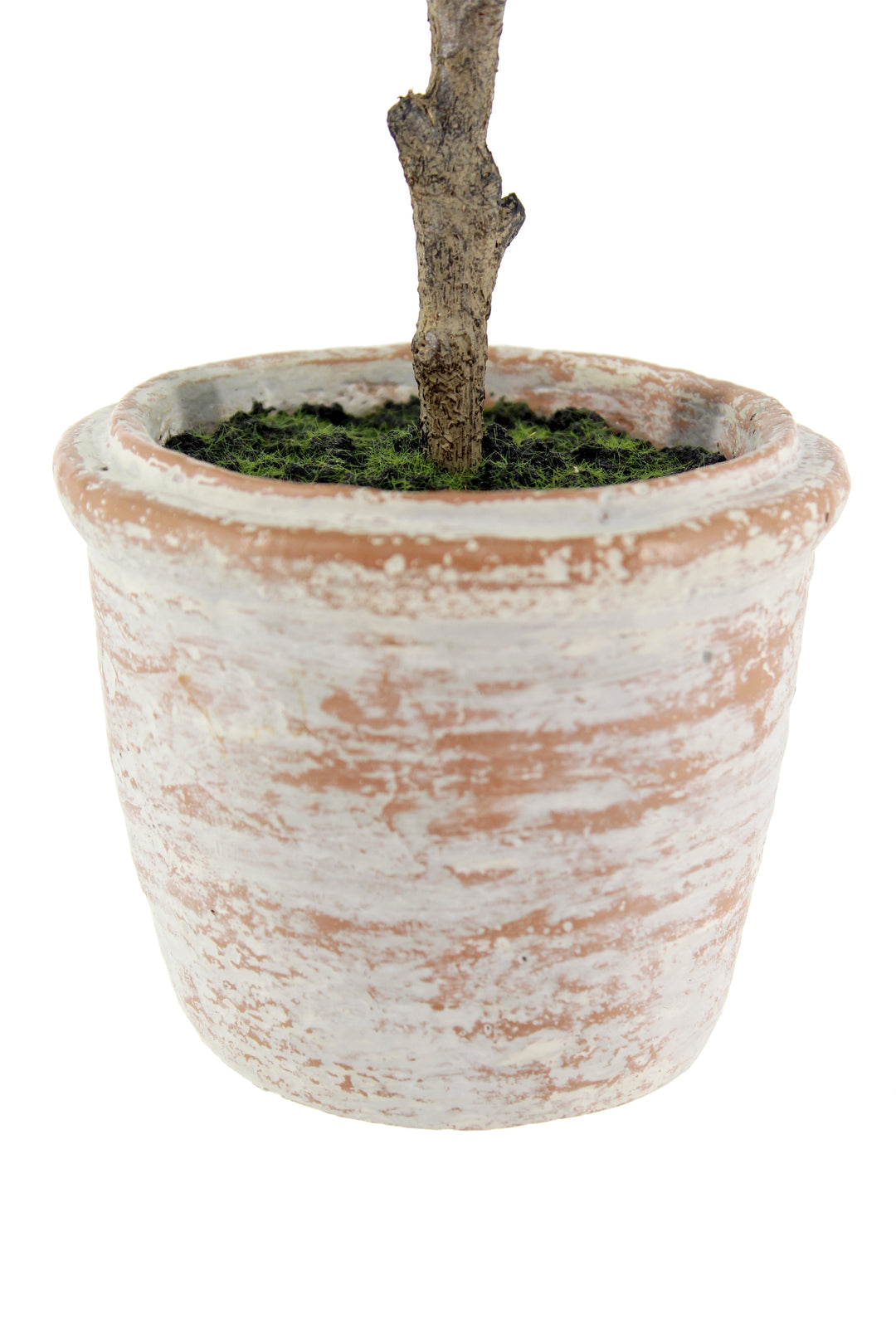 10" Eucalyptus &amp; 16" Citrus Topiary Set