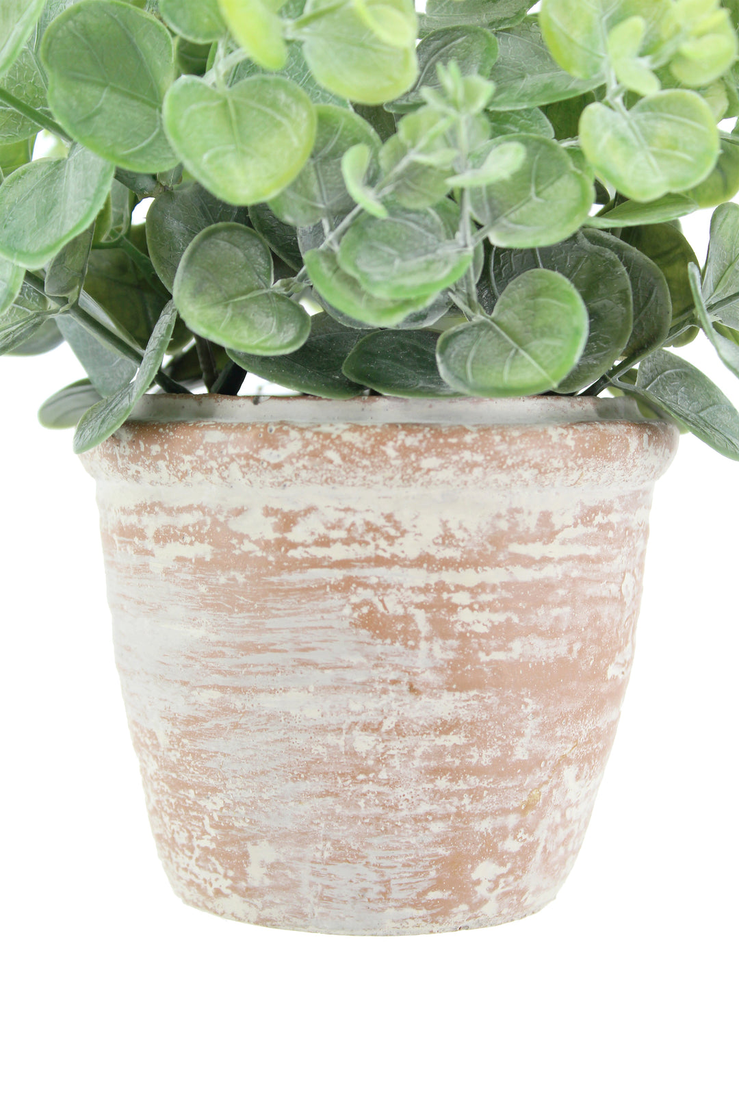 10" Eucalyptus &amp; 16" Citrus Topiary Set