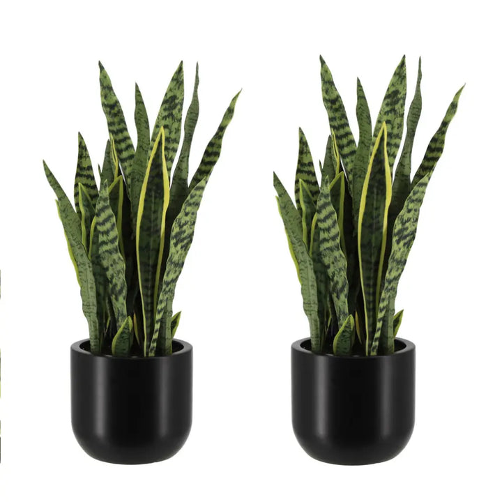 30" Artificial Snake Plants in Black Pots Set of 2