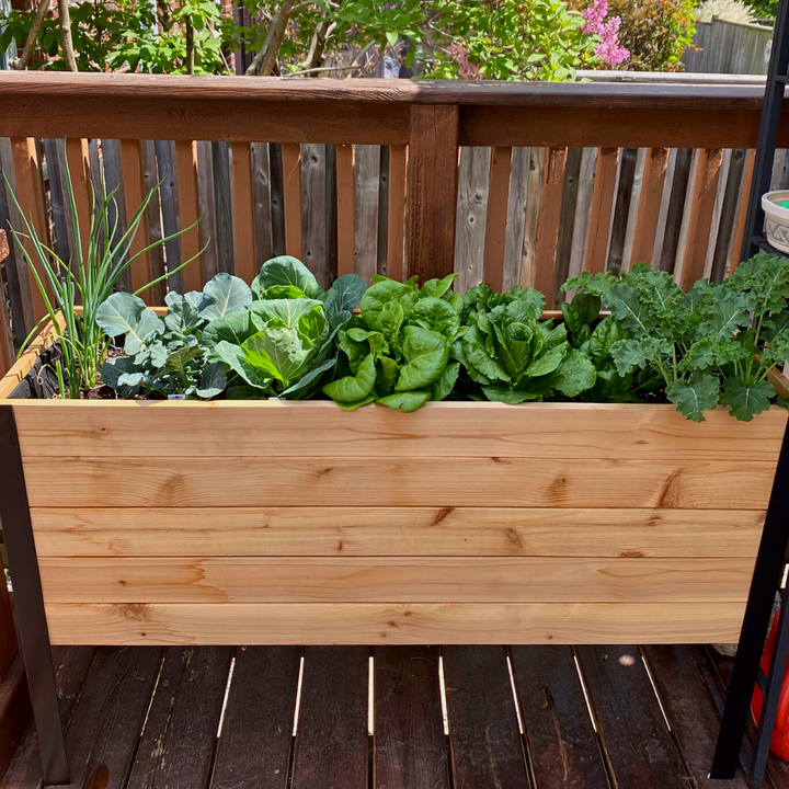 18″ x 48″ Deep Root Raised Garden Bed - 30″ TALL - Select Grade